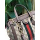 Gucci Beige / Ebony GG Supreme Ophidia Small Tote Bag 547551