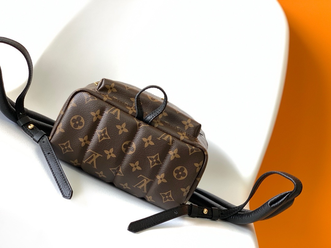 L.V Palm Springs Mini Monogram Handbags M44871